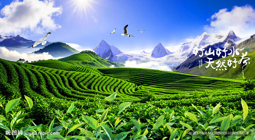 茶山