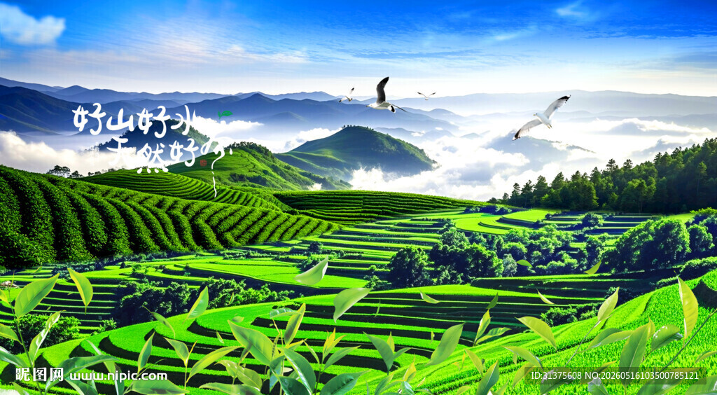 茶园