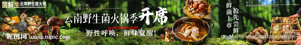 云南野生菌菇餐饮五连图