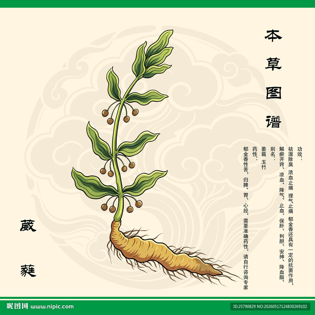 传统草药萎蕤 葳蕤