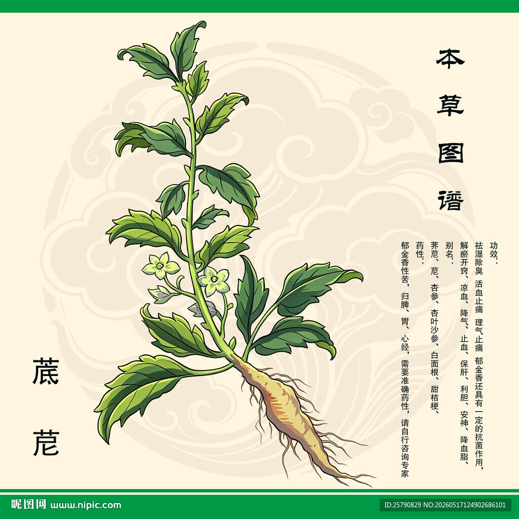 传统本草图谱荠苨杏参
