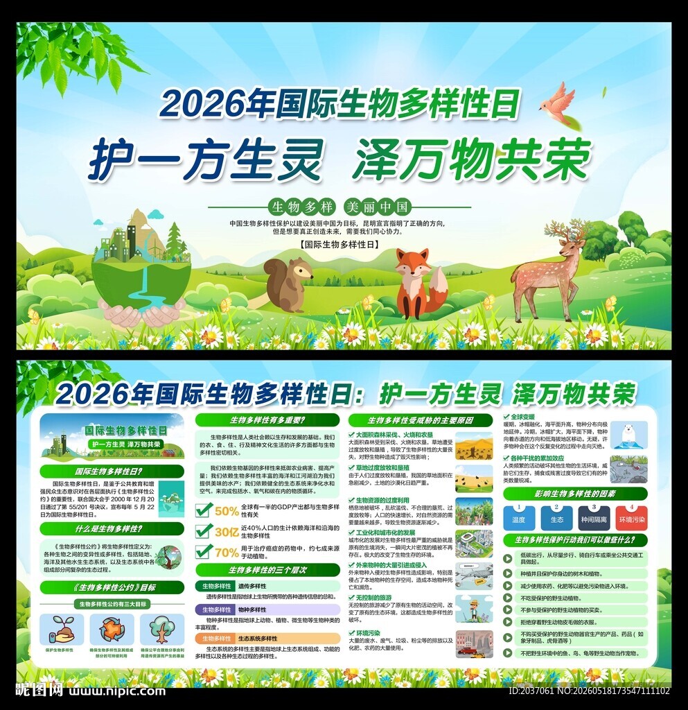 国际生物多样性日