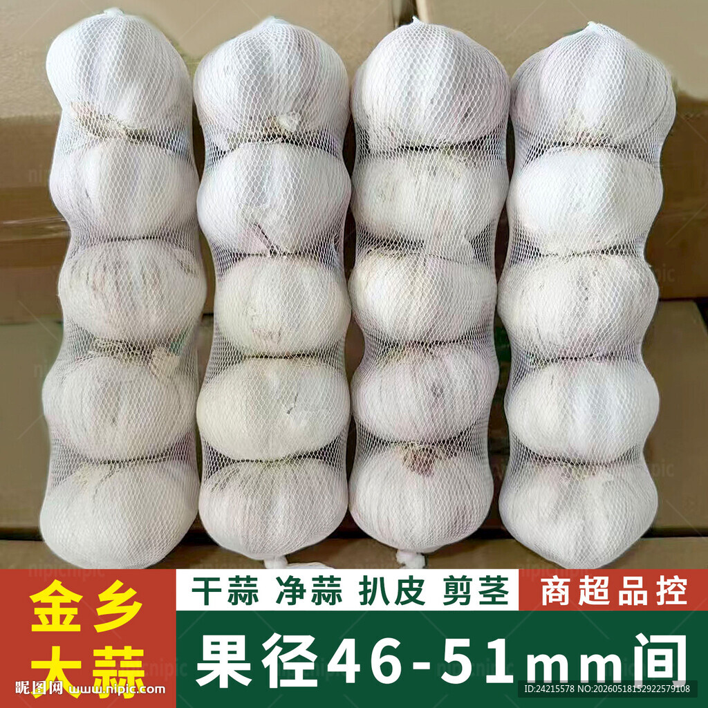 大蒜图片