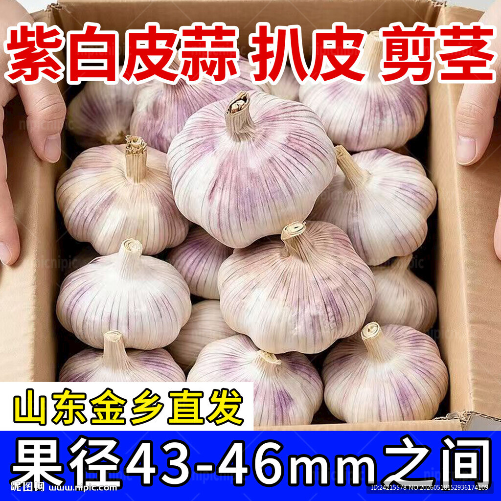 大蒜主图
