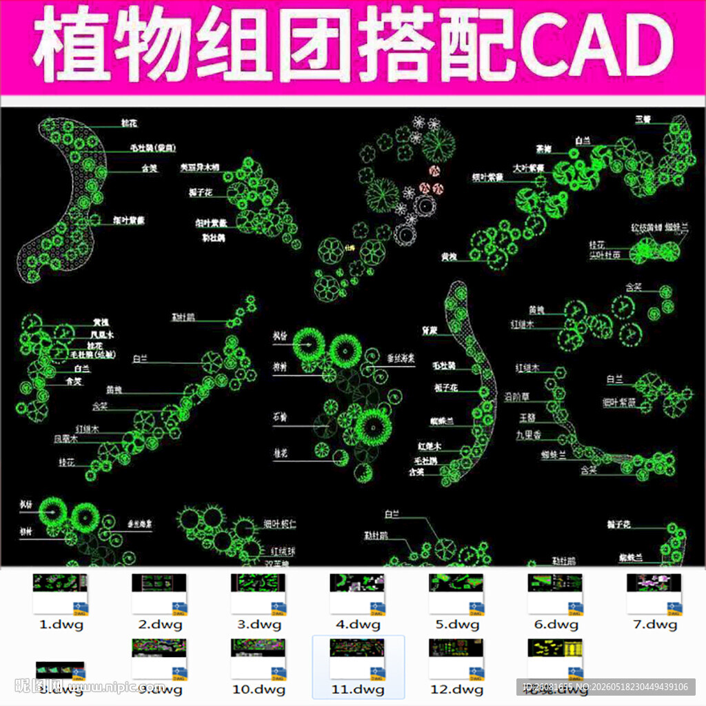 植物组团搭配CAD图纸展示
