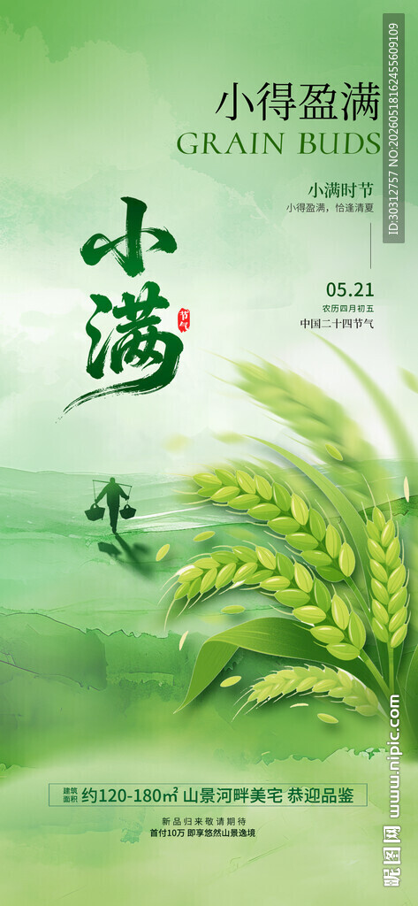 清新绿植小书封面展示