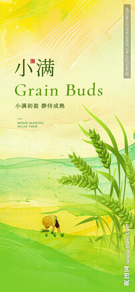 小满时节田园风光