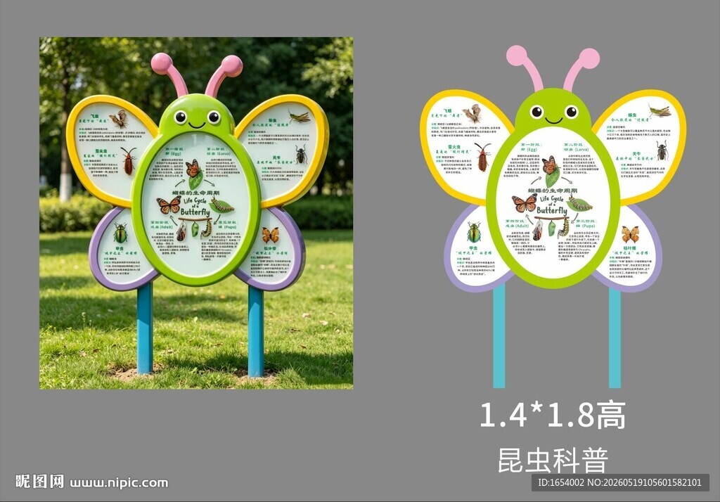 公园昆虫科普