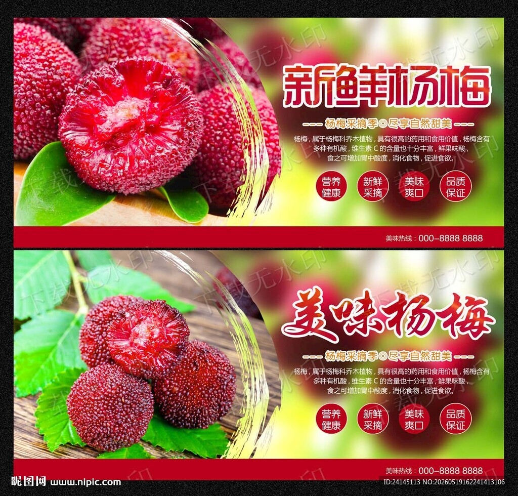 杨梅
