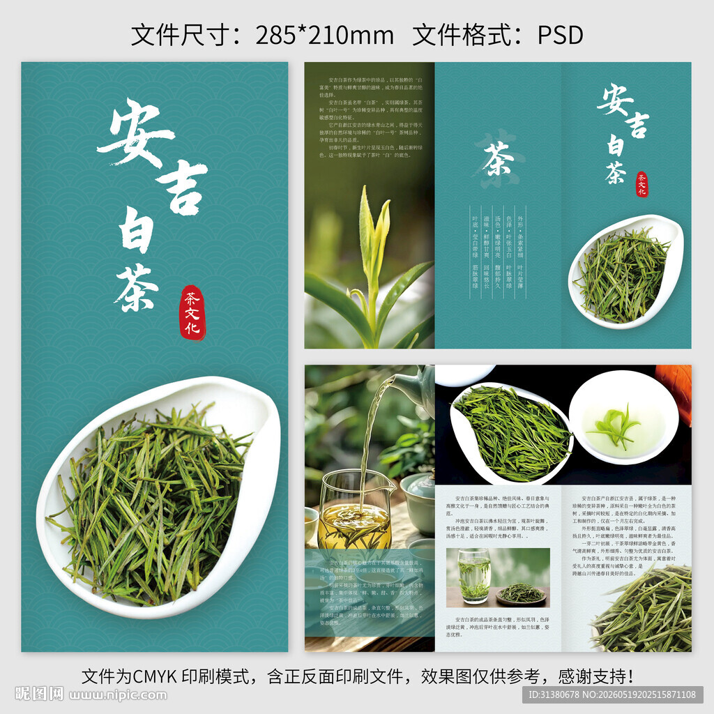 安吉白茶宣传册三折页