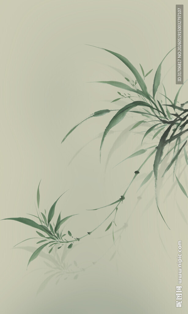 兰花
