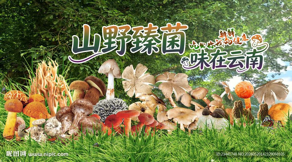 野生菌广告