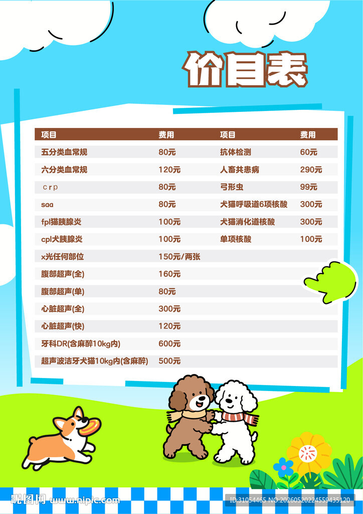 宠物店活动  