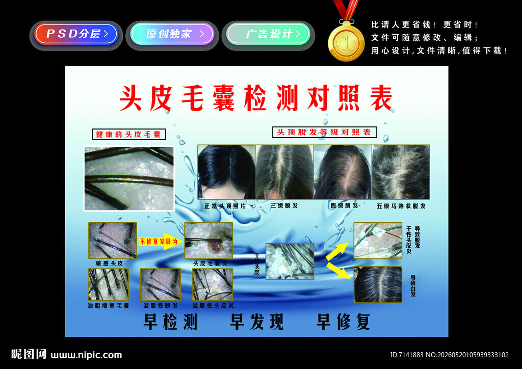 头皮毛囊检测