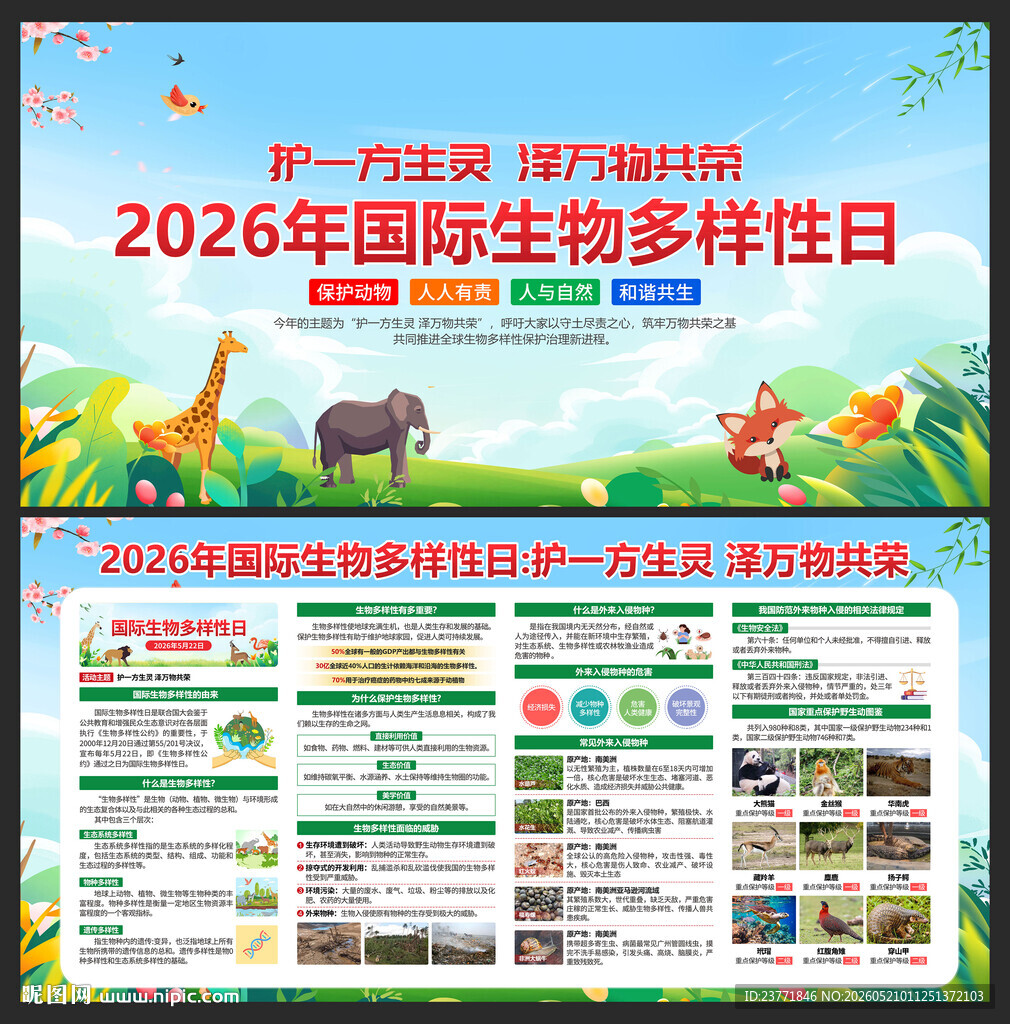 国际生物多样性日