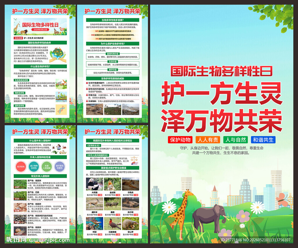 国际生物多样性日海报