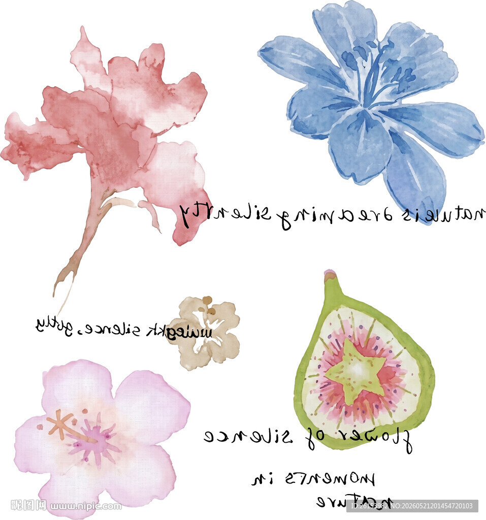 水彩花卉与果实白墨直喷烫画