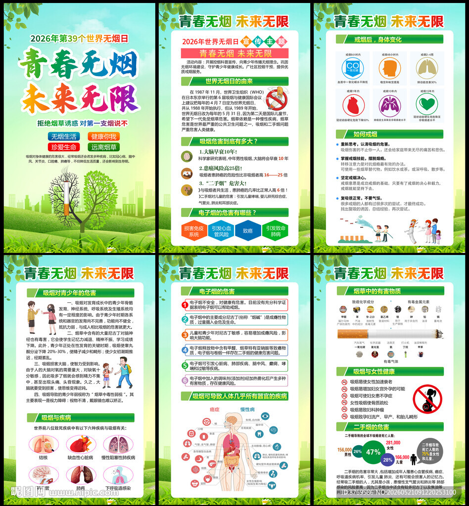 2026年无烟日宣传栏