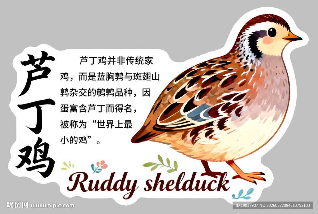 芦丁鸡
