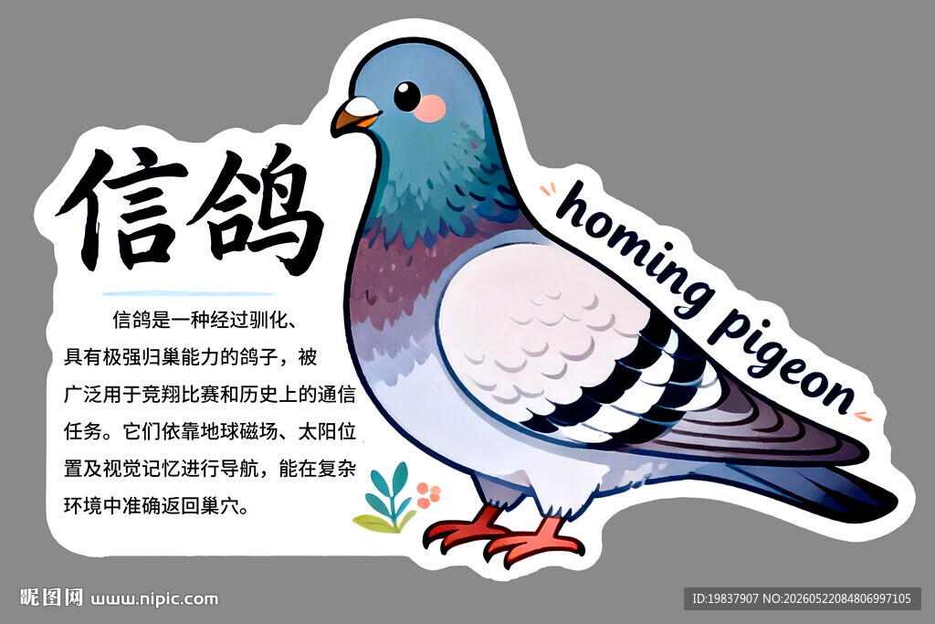 信鸽图案贴纸展示