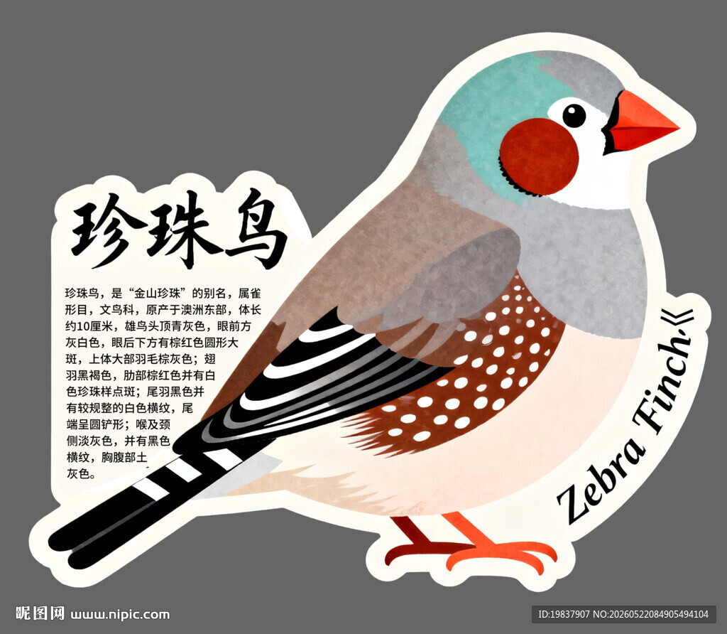 可爱珍珠鸟贴纸图案