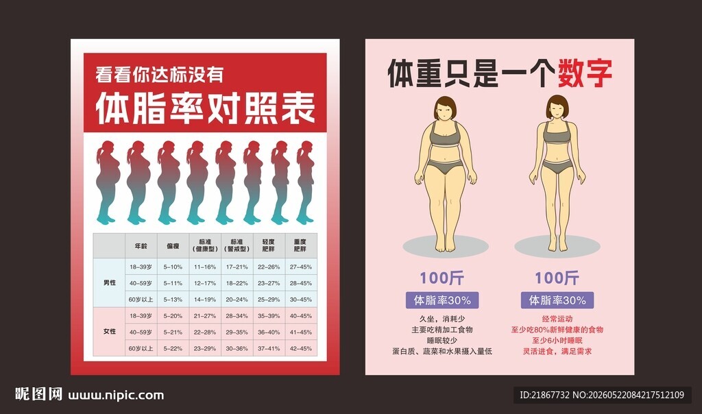 体脂率对照表海报