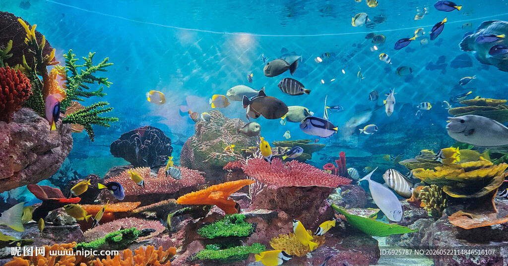 海底世界 海洋 装饰画 JPG
