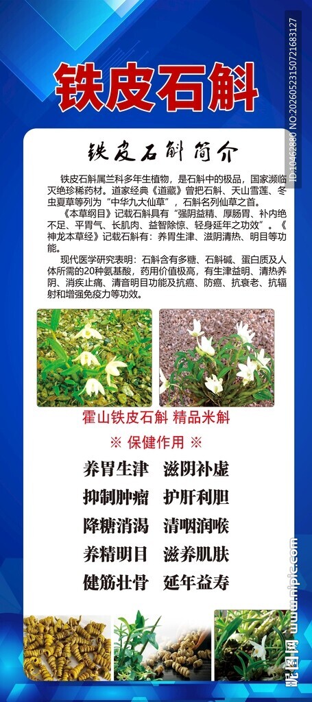 夏季养生中草药铁皮石斛宣传海报