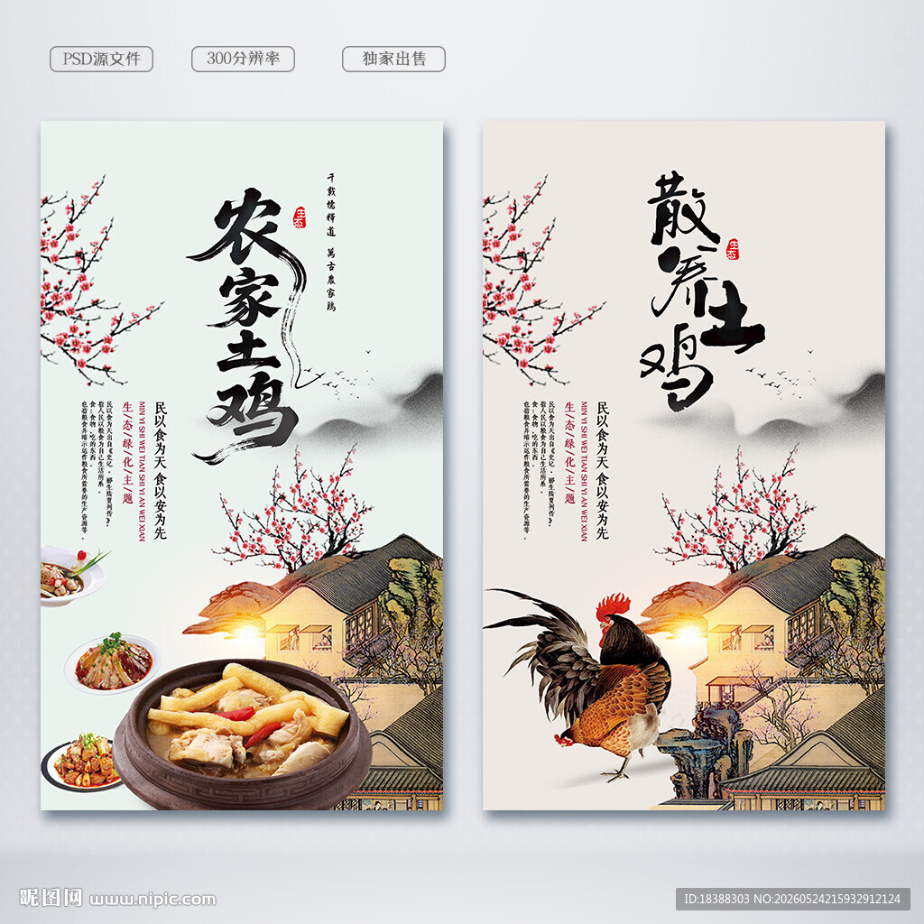 土鸡
