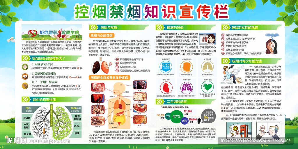 世界无烟日宣传栏