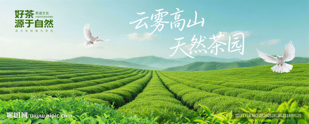 茶园