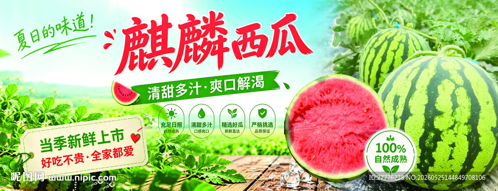 麒麟西瓜宣传图