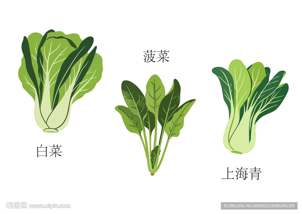 蔬菜