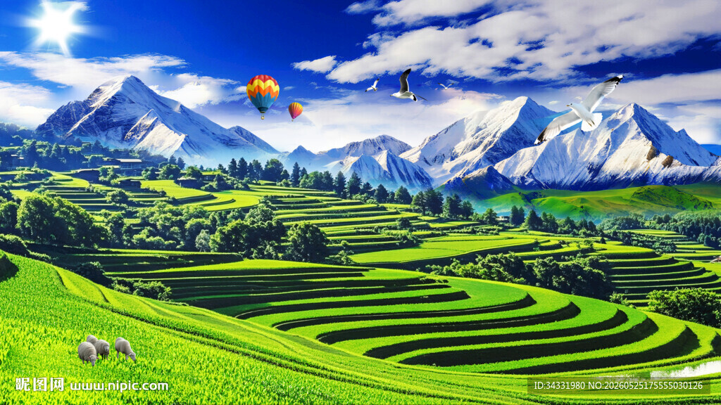 梯田