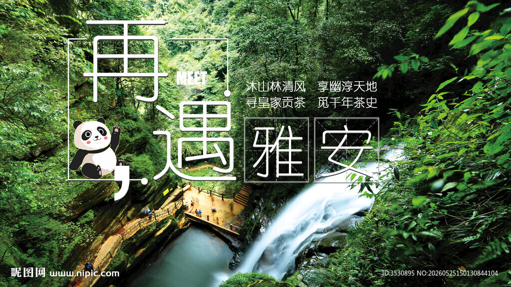 雅安山水间的熊猫奇遇