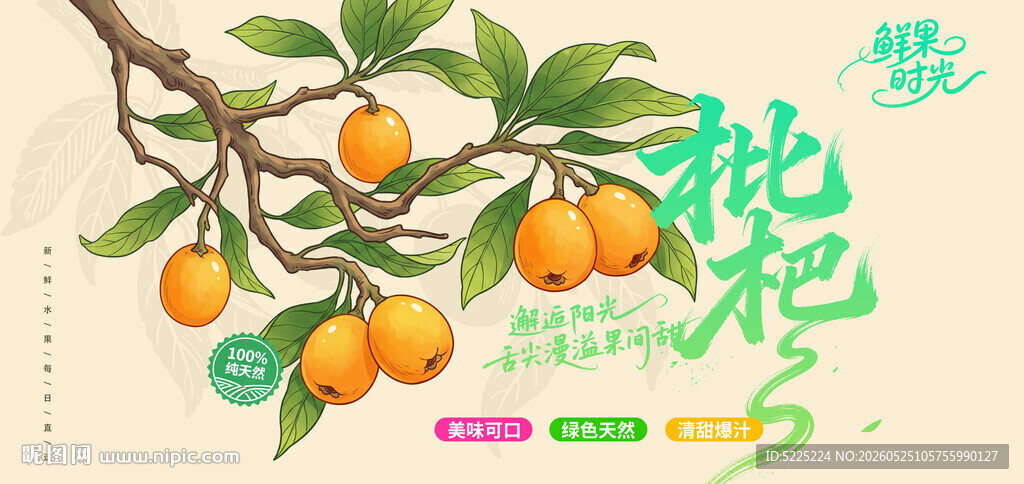 枇杷