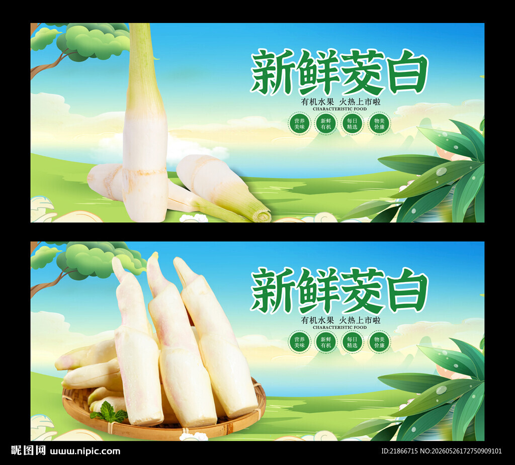 茭白