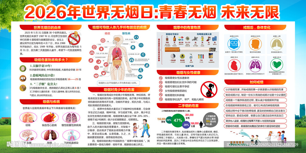 2026年无烟日展板
