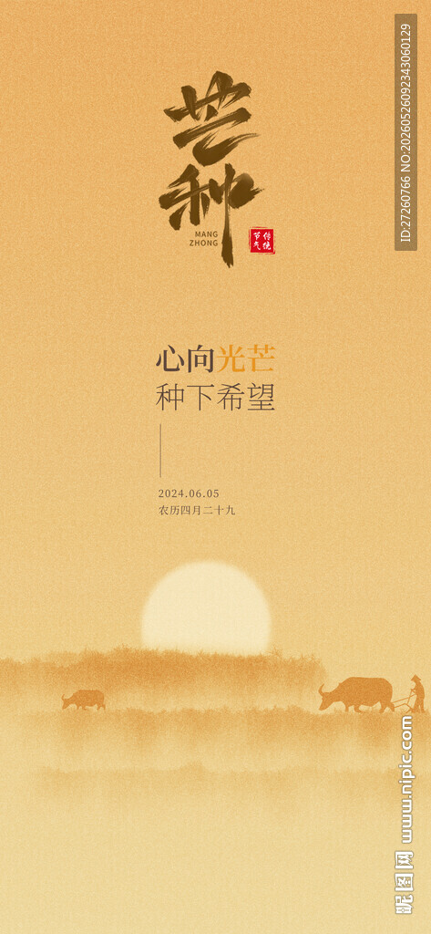 芒种海报