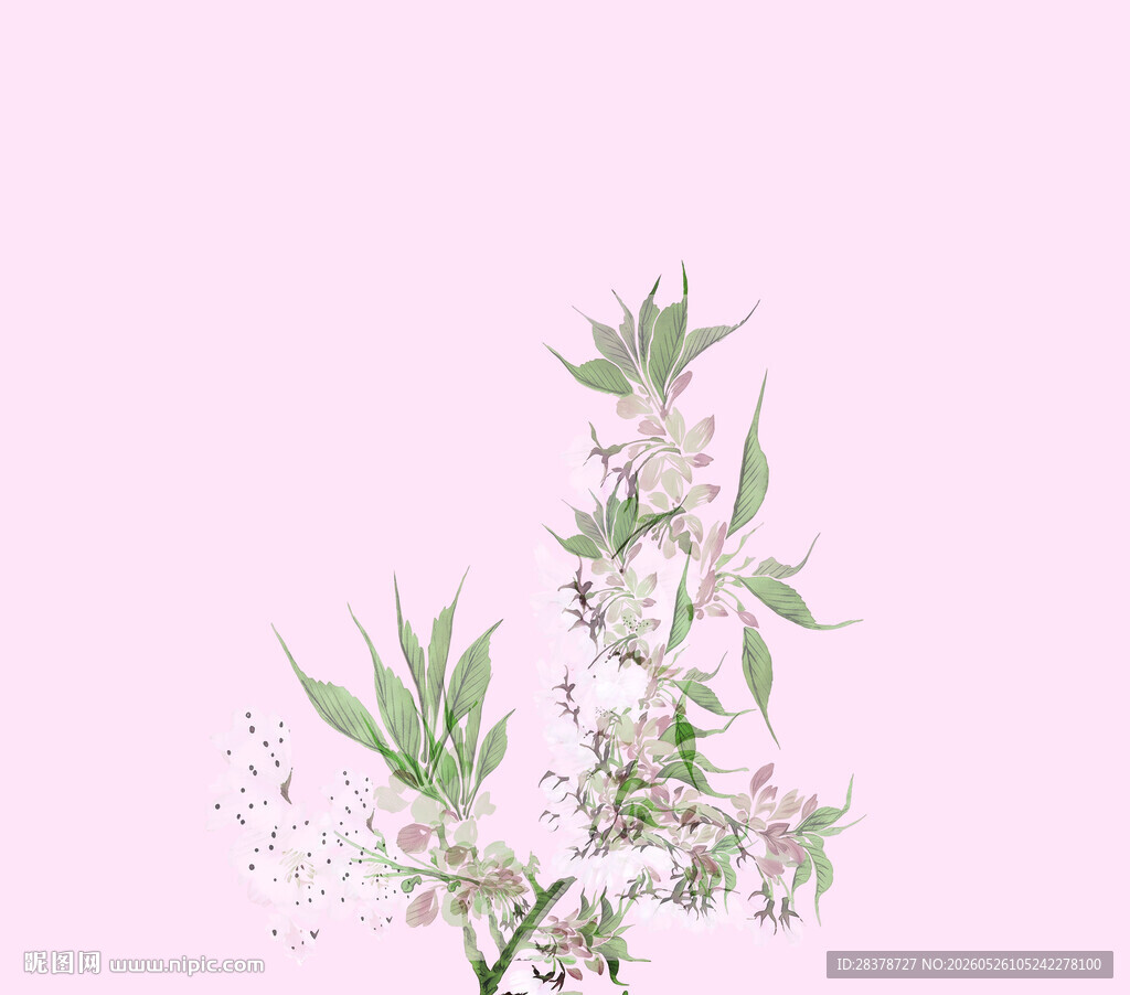 粉色背景下的清新花卉植物