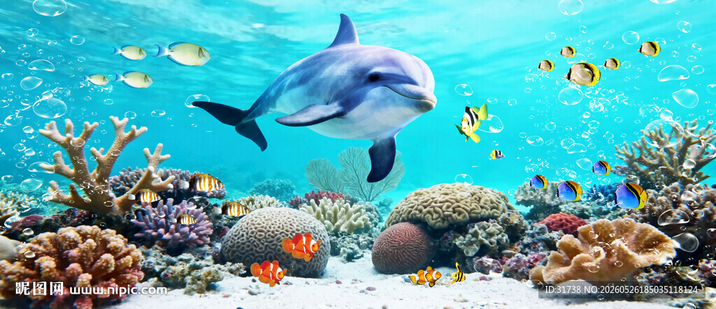 海洋海豚海底世界背景