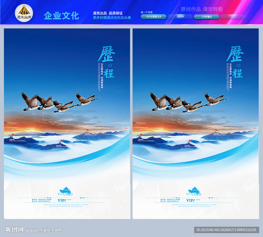 发展历程