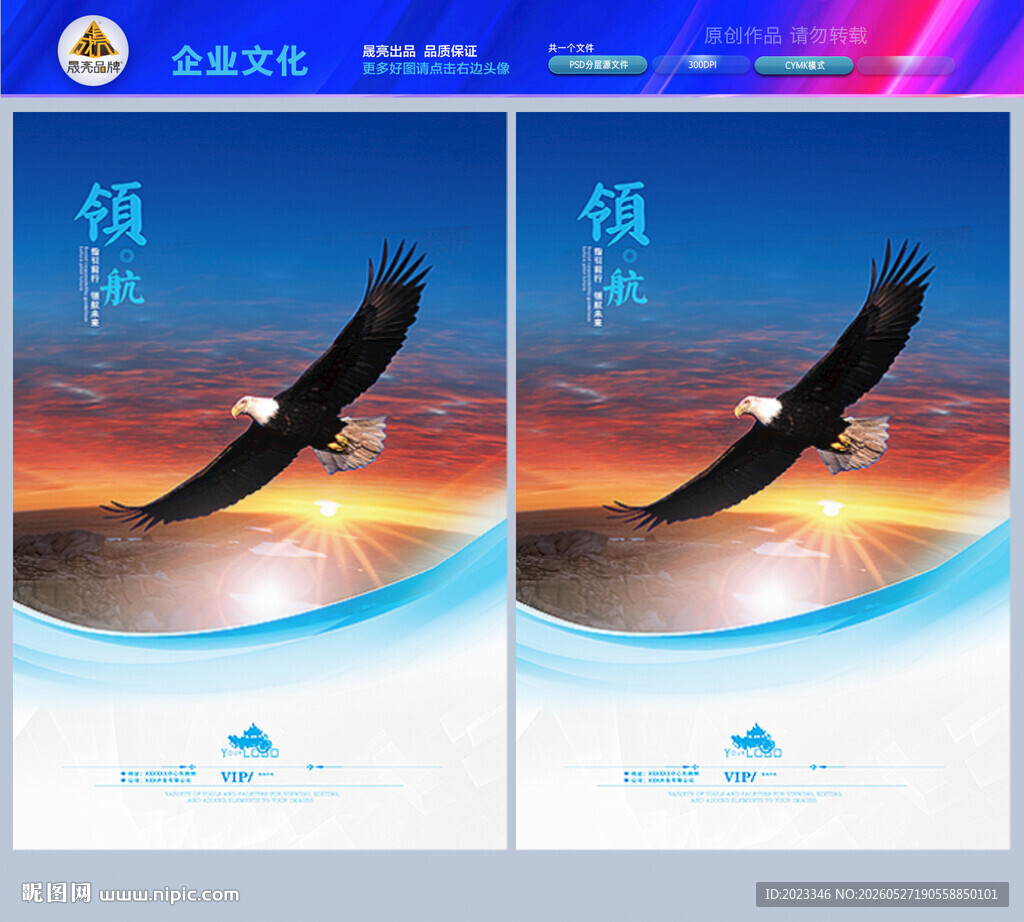鹰飞鹰老鹰
