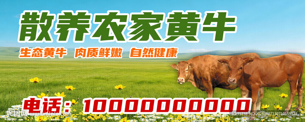 黄牛