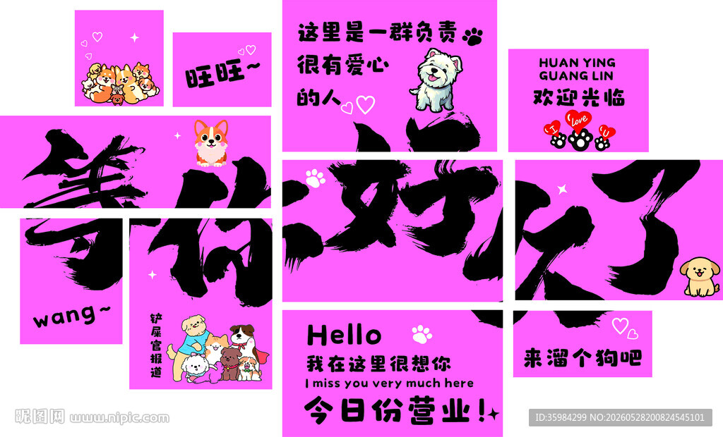 宠物文化墙