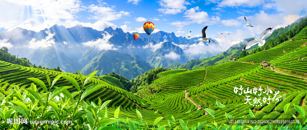 茶山