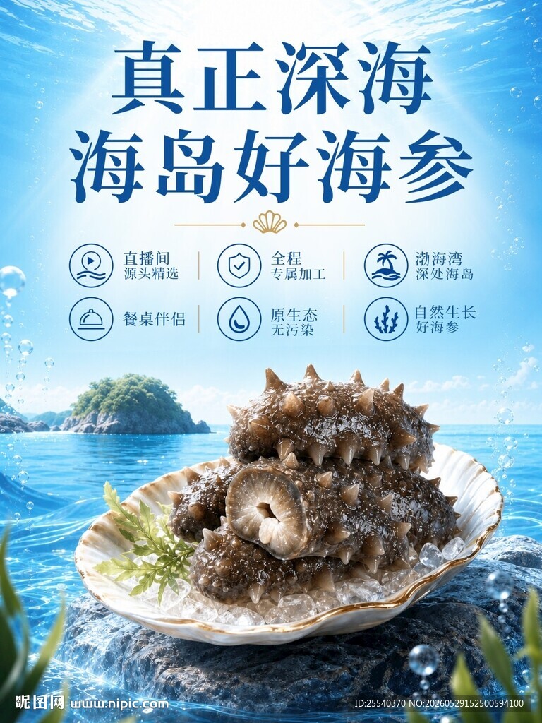 海参设计