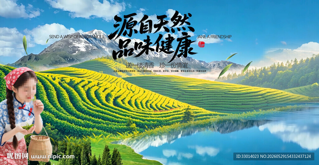 茶园风景画