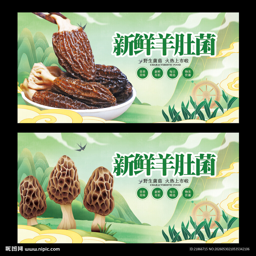 羊肚菌