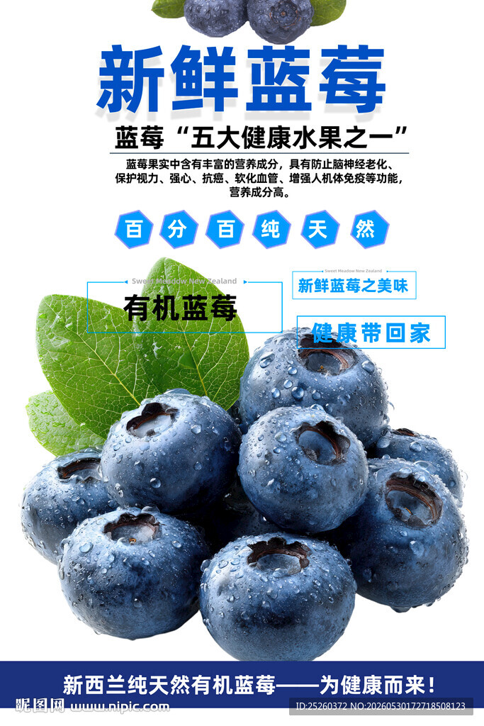 蓝莓